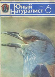 Юный натуралист 1981 №06